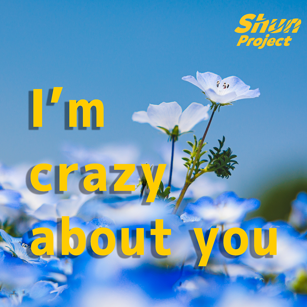 I’m crazy about you
